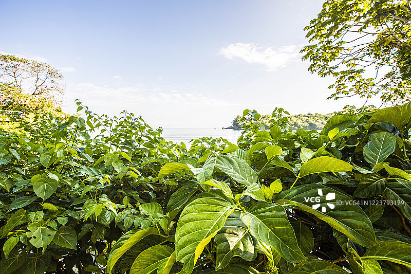 加勒比海图片素材