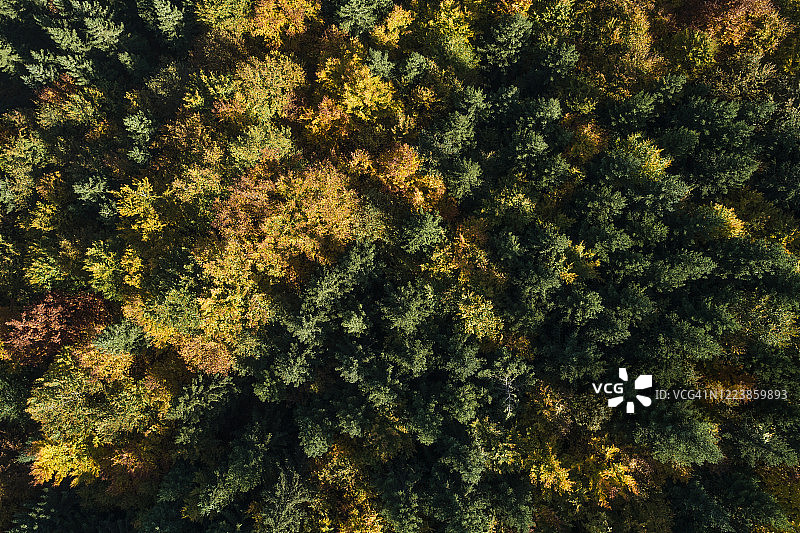 德国巴登-符腾堡州海登海姆安德布伦茨施瓦本阿尔卑斯山秋季森林无人机视角图片素材