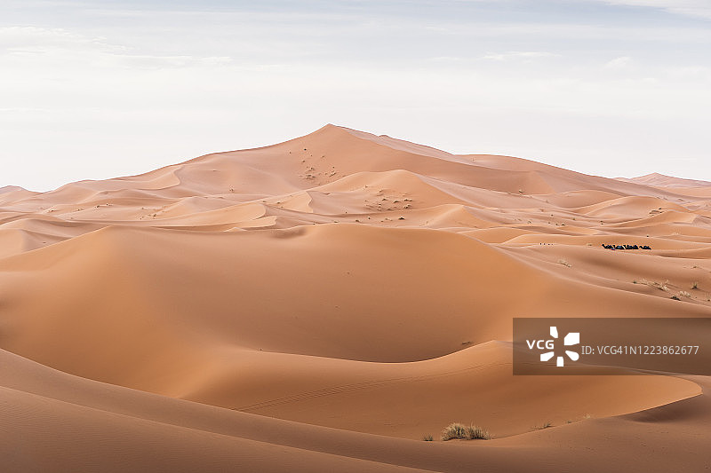 摩洛哥梅尔祖卡沙漠的沙丘图片素材