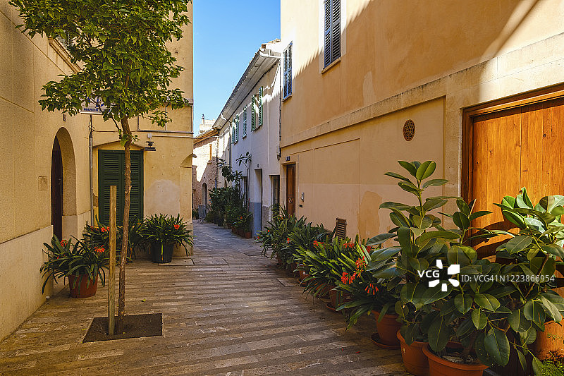 西班牙巴利阿里群岛马略卡岛阿尔库迪亚老城区装饰着盆栽的巷子图片素材
