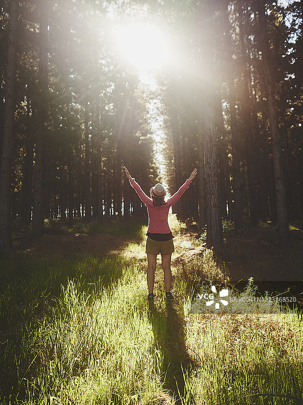 南非斯韦伦丹逆光森林空地上的女人图片素材