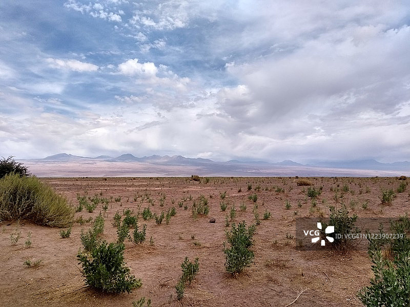 智利阿塔卡马沙漠 - 圣佩德罗-德阿塔卡马图片素材