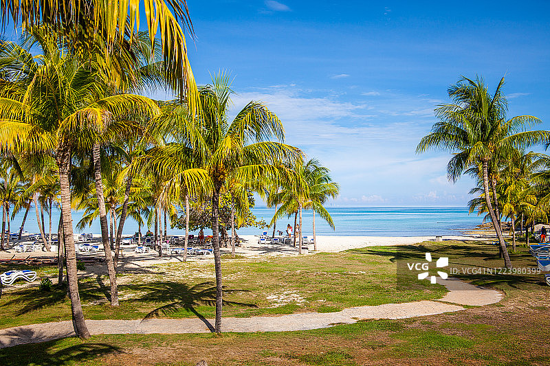 棕榈树天堂图片素材