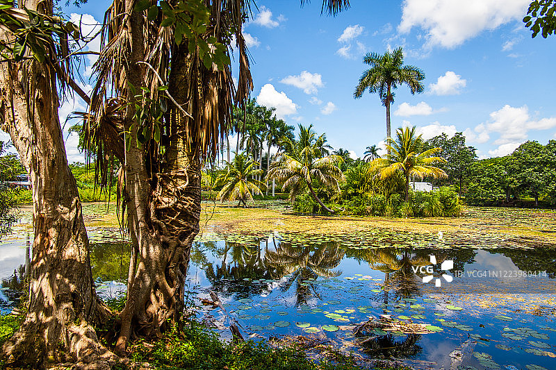 拉arga长滩小村庄图片素材