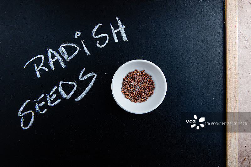 萝卜籽图片素材