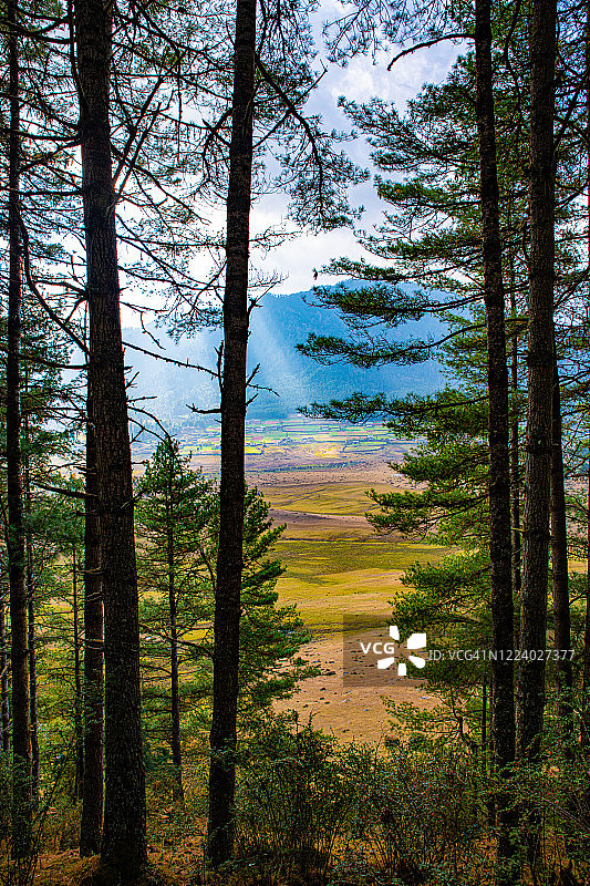 富毕卡山谷（甘塘山谷），旺度波德朗，不丹图片素材