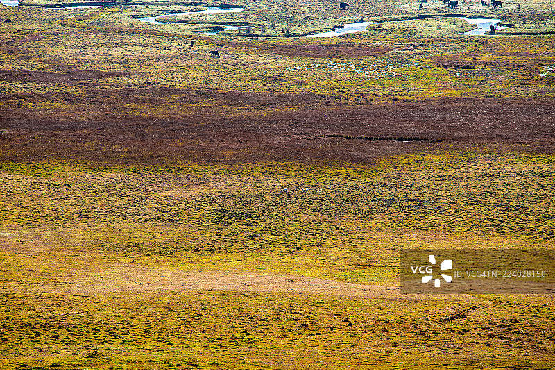 富毕卡山谷（甘塘山谷），旺度波德朗，不丹图片素材