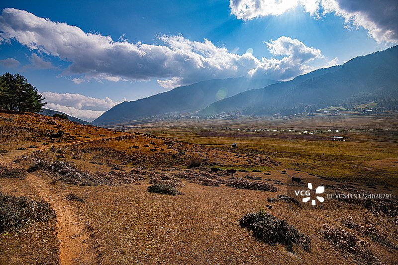 富毕卡山谷（甘塘山谷），旺度波德朗，不丹图片素材
