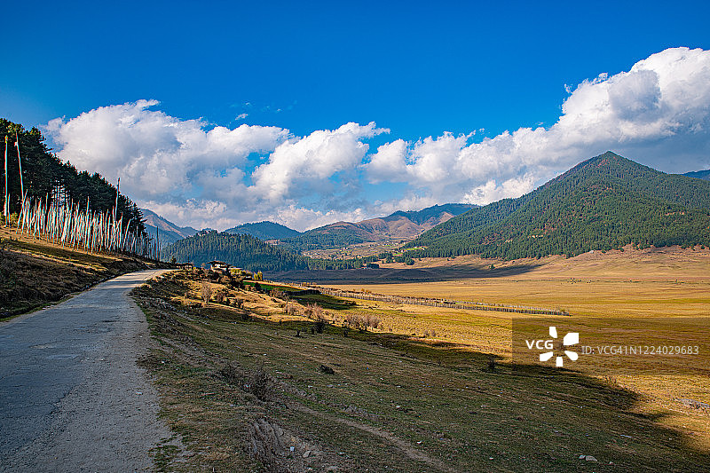 富毕卡山谷（甘塘山谷），旺度波德朗，不丹图片素材