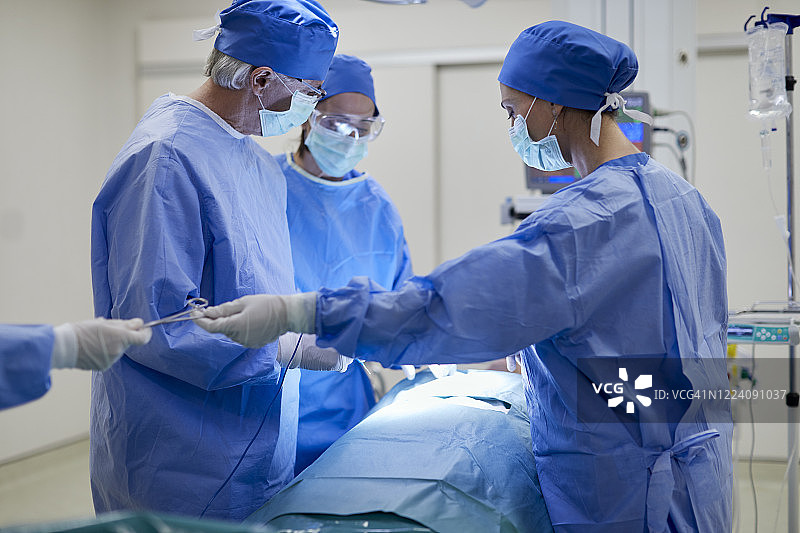 外科医生将手术剪刀还给助手。外科医生将缝合剪刀还给助手。图片素材