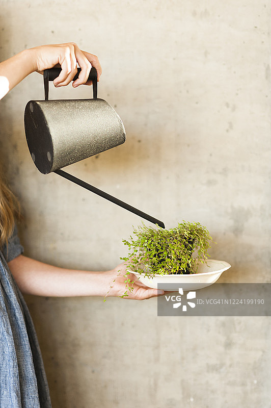 侧视图：女孩用浇水壶浇灌室内植物图片素材