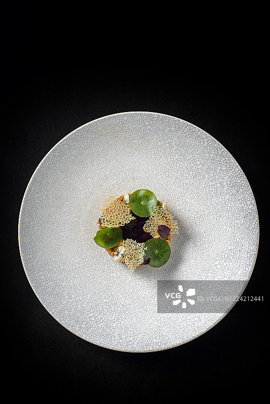 设计师制作的黄鳍金枪鱼菜肴图片素材