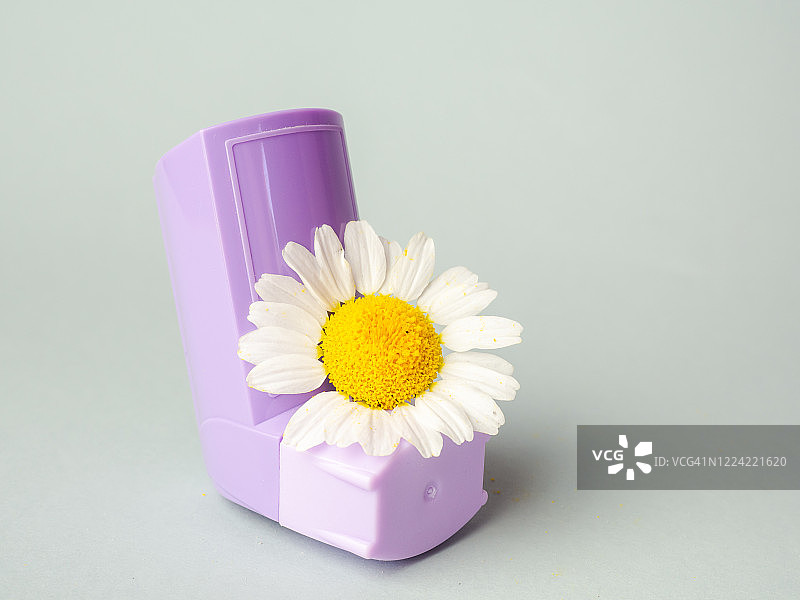 紫色哮喘吸入器和雏菊图片素材