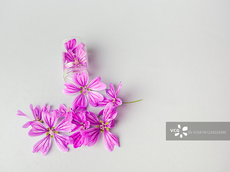 装着鲜花的玻璃罐：顺势疗法和自然医学概念图片素材