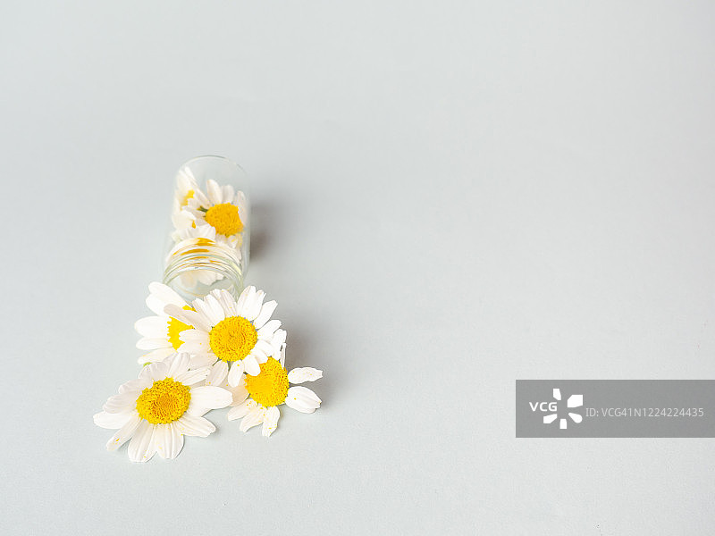 装着鲜花的玻璃罐：顺势疗法和自然医学概念图片素材