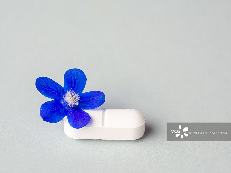 药丸和花朵：顺势疗法和自然医学概念图片素材