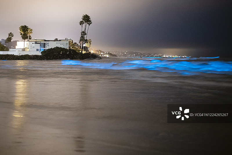 圣地亚哥县海滩的生物发光潮汐呈现蓝色光芒图片素材