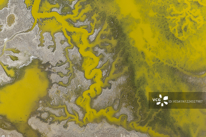 旧金山海湾湿地中奇异的绿色水道航拍图片素材