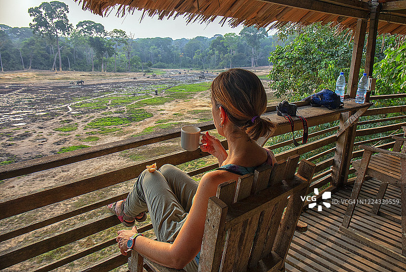 用于观察津加白象群的瞭望塔图片素材