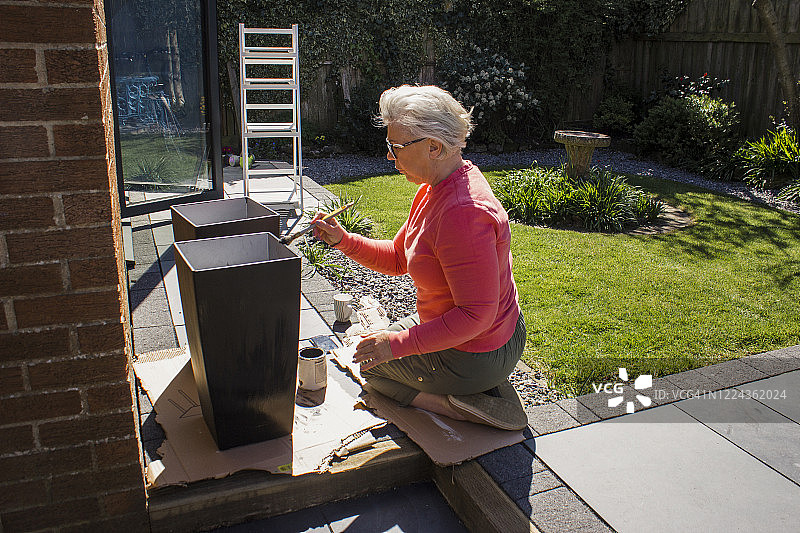 彩绘植物盆图片素材