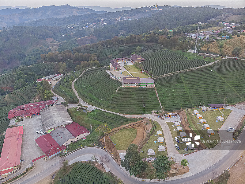 Doi Mae Salong山顶大型茶叶种植园（101茶园）航拍图片素材