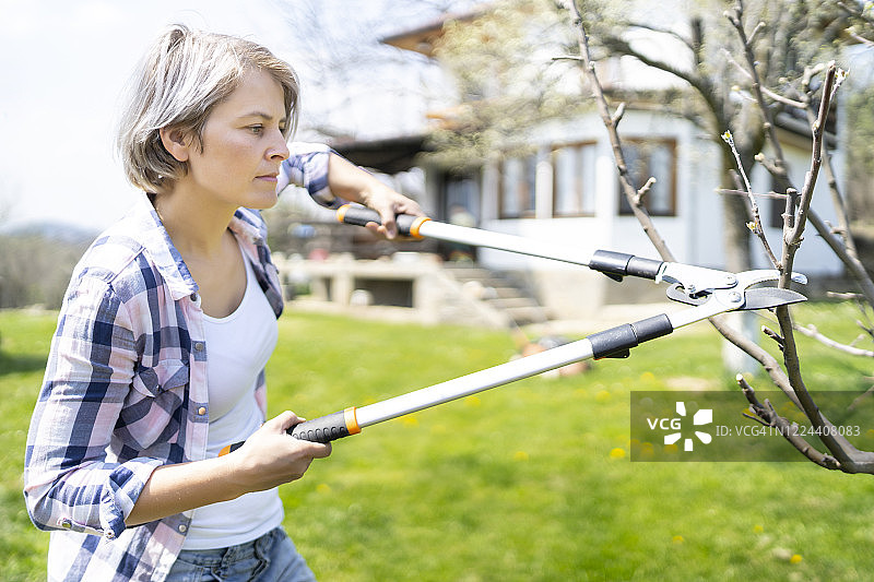 修剪树木的女人图片素材