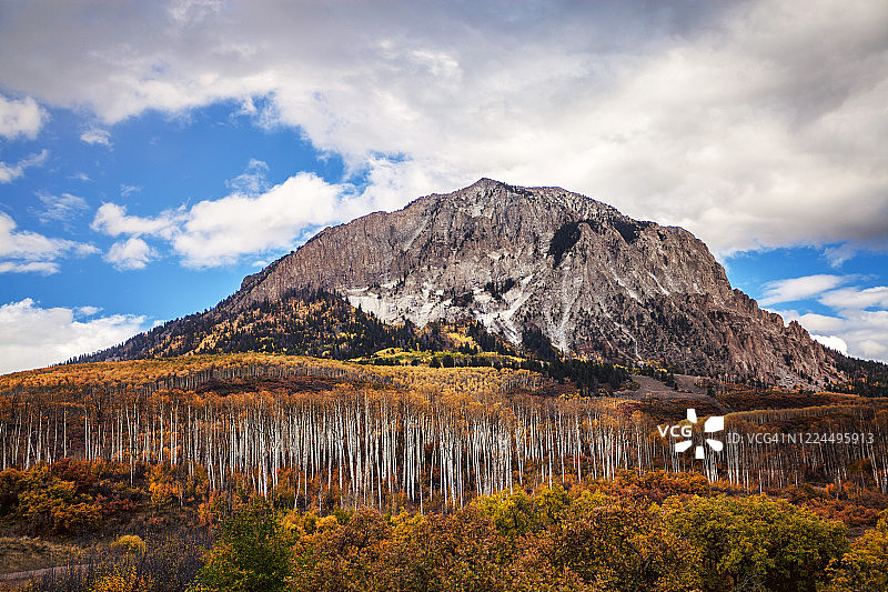 秋季色彩：落基山脉白杨树林图片素材