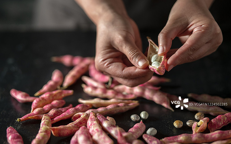 新鲜的粉色蚕豆图片素材
