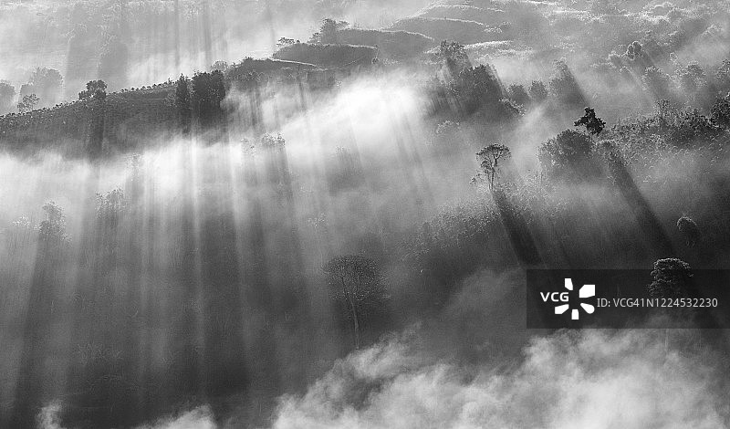 山丘上的阳光图片素材