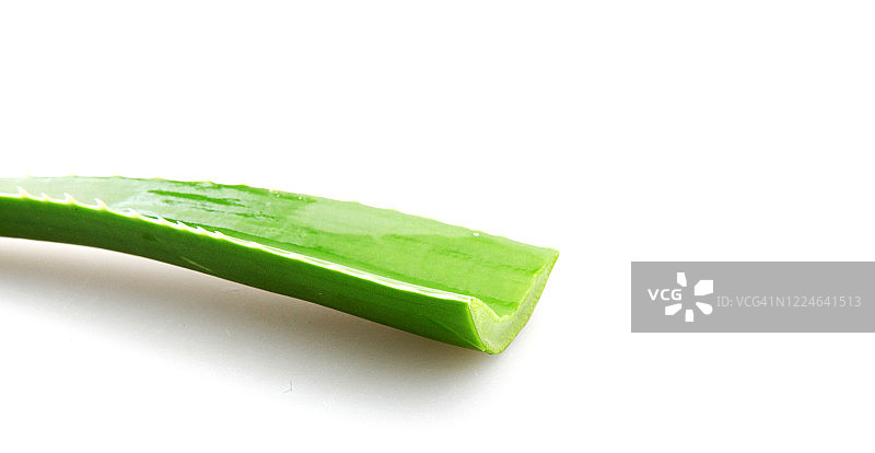 白色背景上的芦荟图片素材