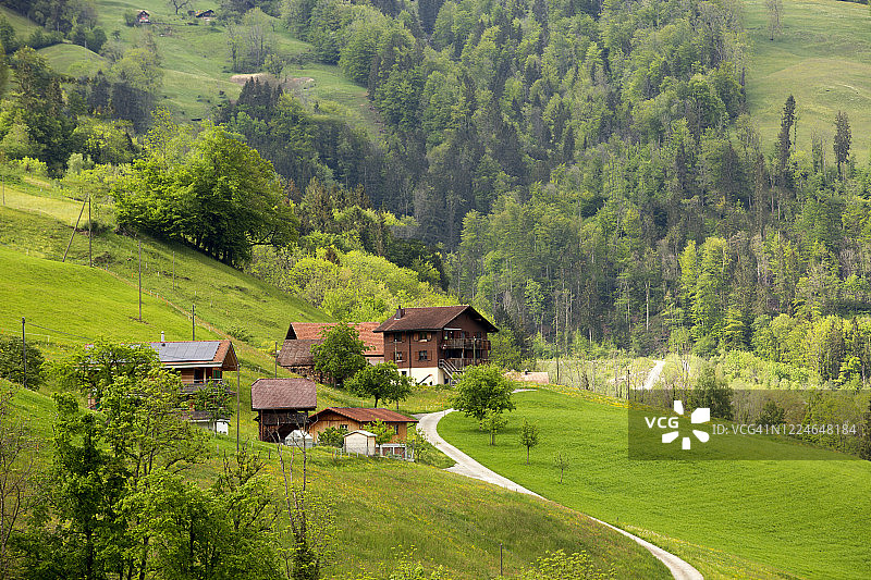 龙疆的瑞士绿色自然风光图片素材