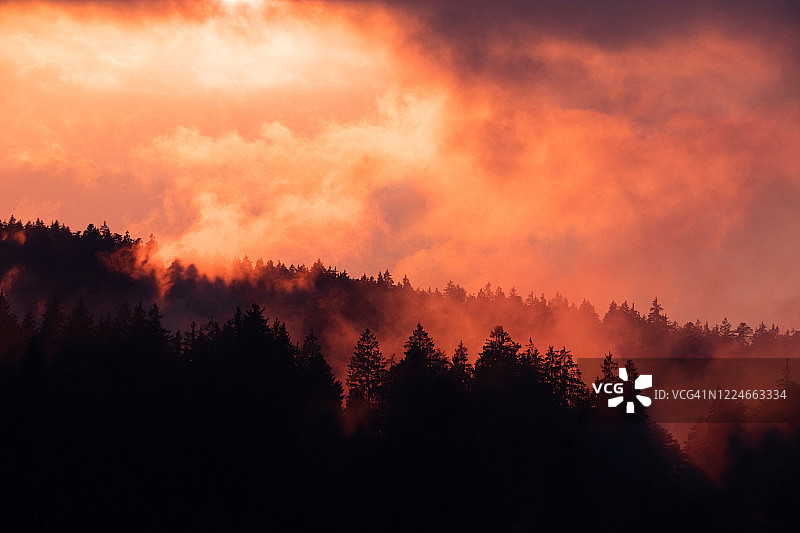 瑞士伯恩高地Emmental森林的日落图片素材