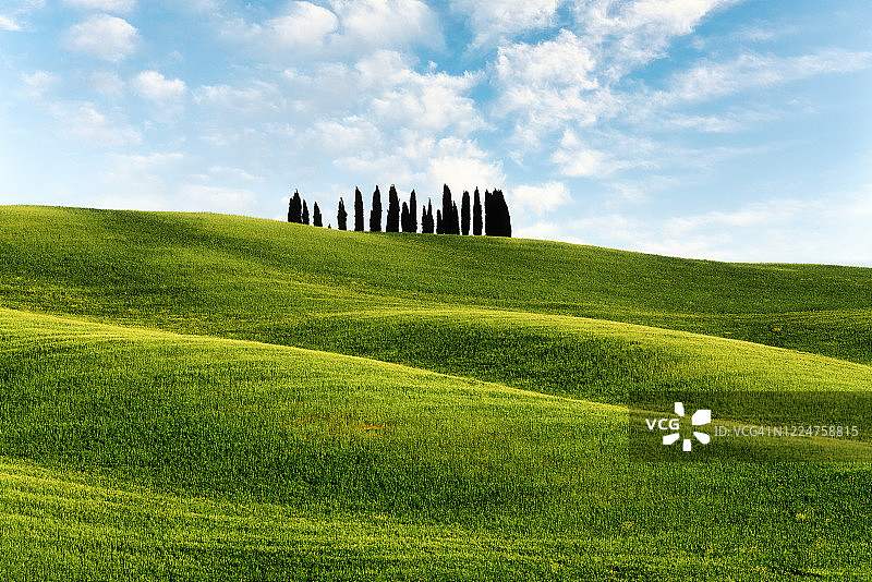 托斯卡纳，春天的绿色草地和柏树，意大利图片素材