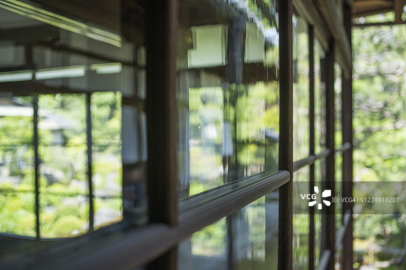 私人住宅玻璃窗中的绿色倒影图片素材