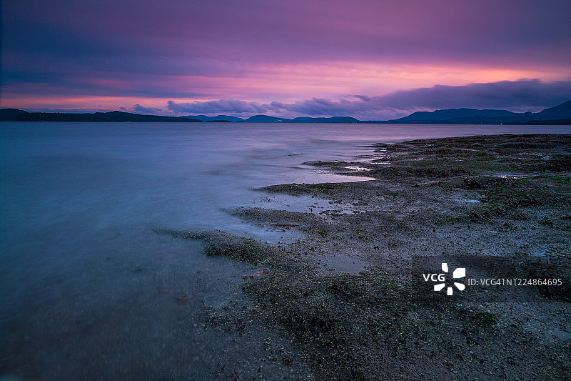温哥华岛黄色岬海景图片素材