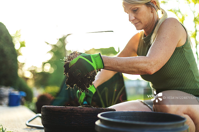 在阳光明媚的春天，成熟的金发女性正在种植鲜花图片素材