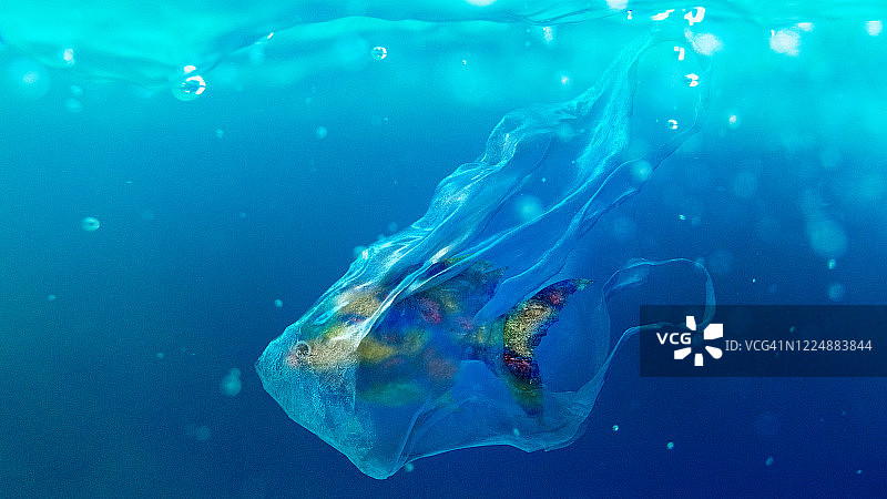 塑料袋里的鱼图片素材