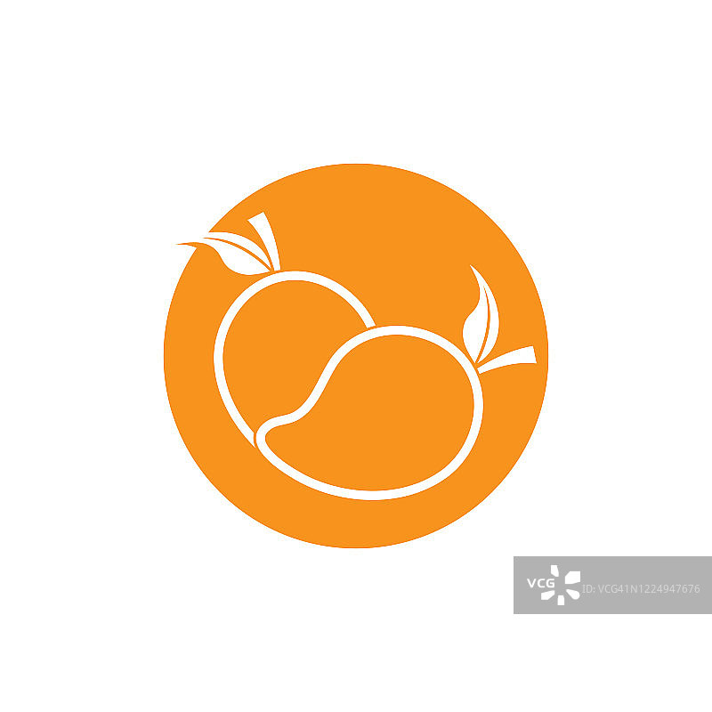 山竹果矢量图图片素材