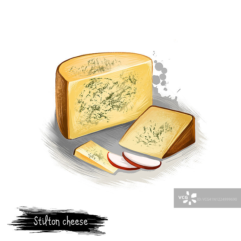 斯提尔顿奶酪与萝卜数字艺术插画图片素材