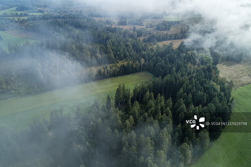 雾中森林和草地的鸟瞰图片素材