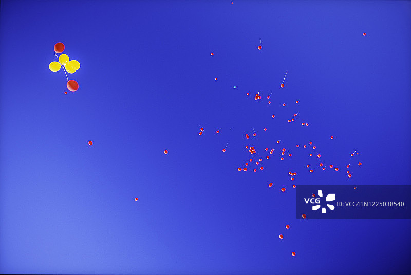 释放到蓝天中的数十个红色气球和4个黄色气球图片素材