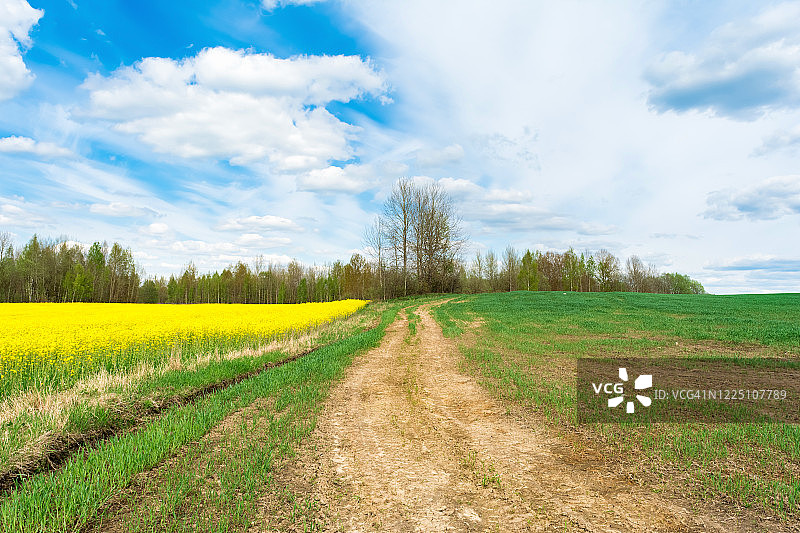 蜿蜒的道路与春季自然风光图片素材