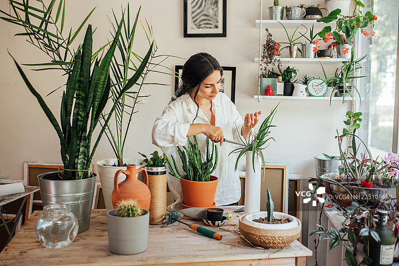 年轻女子照顾她的植物图片素材