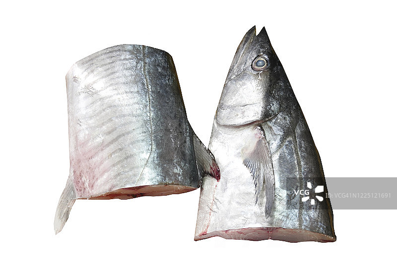 白色背景上的鲭鱼图片素材