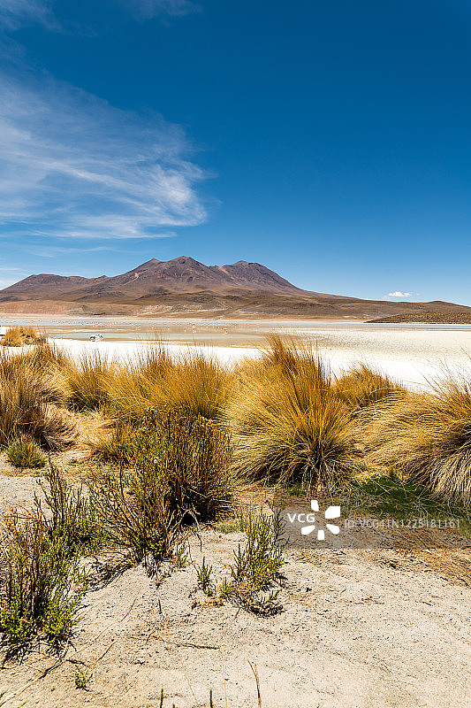 玻利维亚波托西地区的高地泻湖图片素材