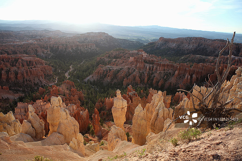 布莱斯峡谷圆形剧场图片素材