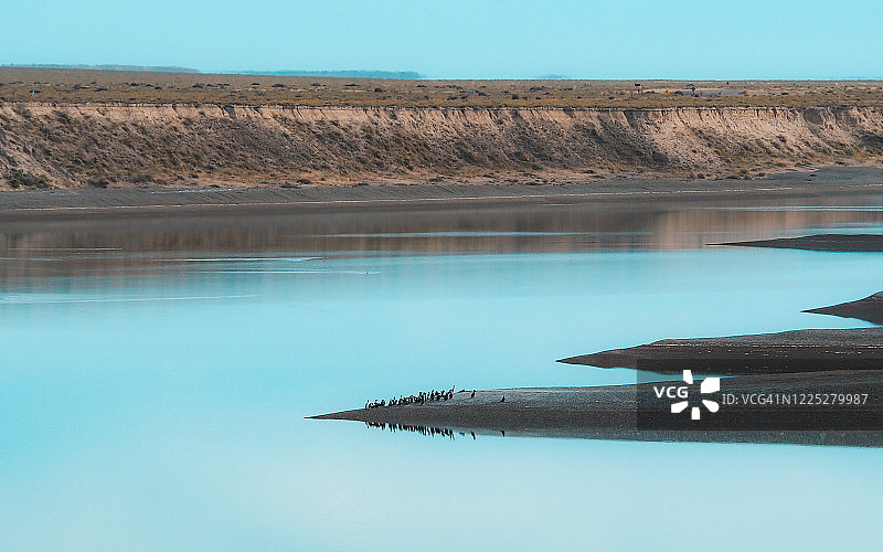 阿根廷巴塔哥尼亚瓦尔德斯湾图片素材