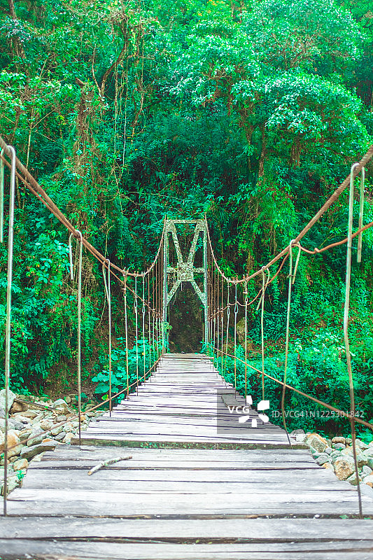 玻利维亚科罗伊科绿树成荫的河上吊桥图片素材