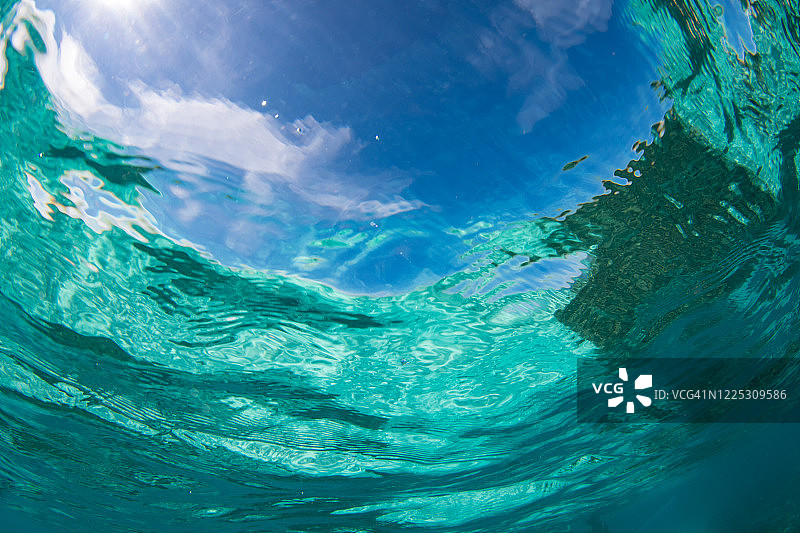 水下萨摩亚图片素材