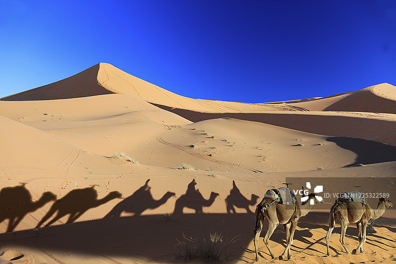 穿越撒哈拉沙漠的骆驼队阴影图片素材